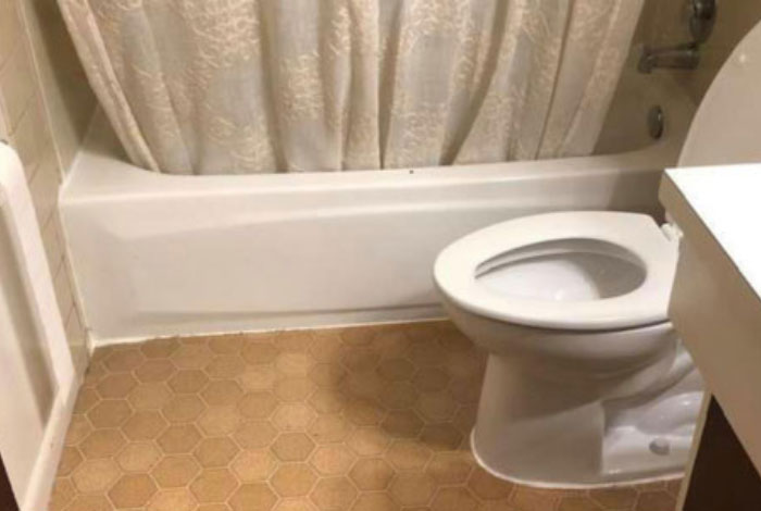 Kirkland Toilet Replacement